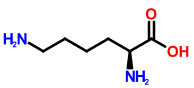 Lysine