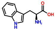 tryptophan